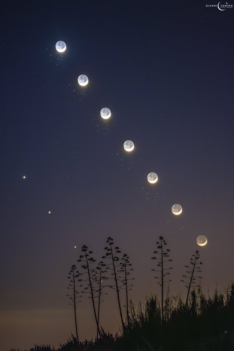apod_brasil's tweet image. A LUA, VÊNUS E AS PLÊIADES
Saiba mais na thread! ⏬
Créditos: Gianni Tumino, Keighley Rockcliffe (NASA GSFC, UMBC CSST, CRESST II)
Texto original e edição: Robert Nemiroff (MTU) &amp;amp; Jerry Bonnell (UMCP)
#Astrofisica #Lua #Estrelas #Pleiades #M45 #Sicilia #Italia