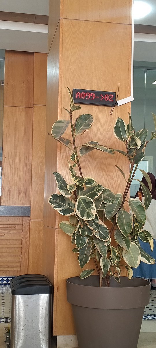 انا انسان ❤️🇲🇦 tweet media