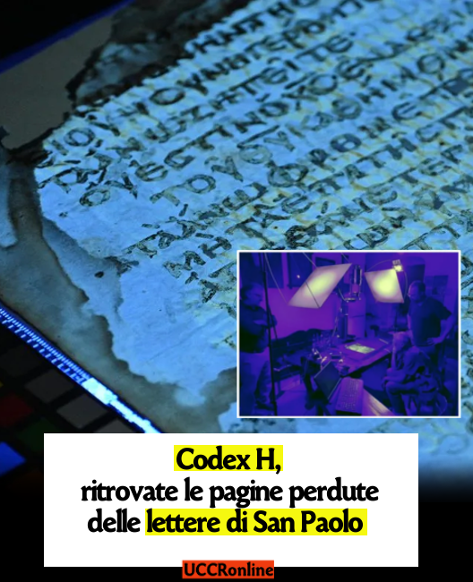 UCCR's tweet photo. UNA SCOPERTA IMPORTANTE
Grazie a tecniche di imaging multispettrale riemergono 42 pagine del #CodexH, una delle copie più antiche delle lettere di Paolo. Ecco perché è una  scoperta importante.

🔴CONTINUA A LEGGERE👇
https://t.co/aRT6DM0lBv https://t.co/odrBt5ZScC