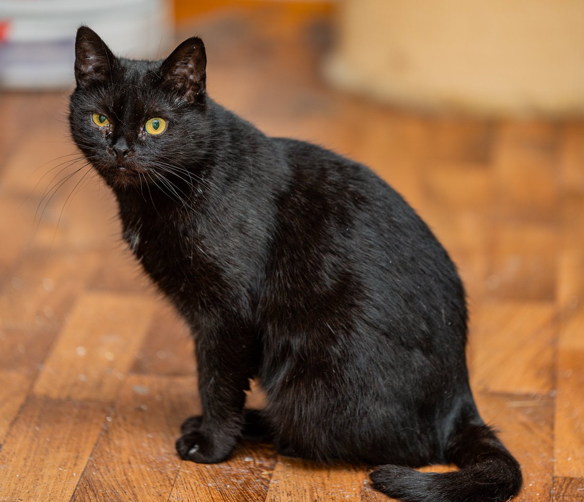 Anders Hagman tweet media