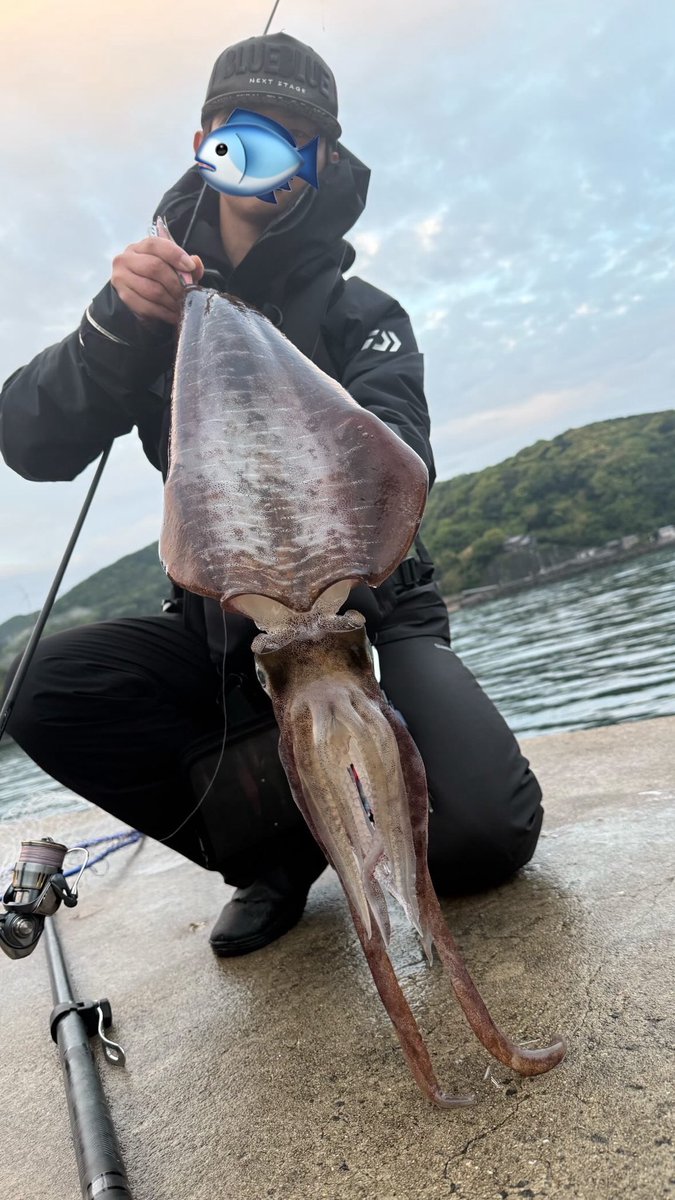 aomonogurui's tweet photo. 春イカきたぁぁぁあ！！
人生初キロイカ...をゆうに超えてる！

願えば、叶うから🐟 https://t.co/80rkiVW56s