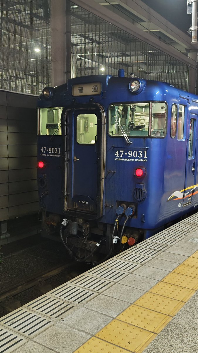 くま ケン tweet media