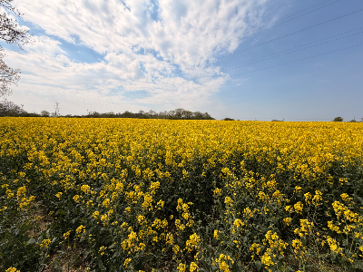 EnviroconJo's tweet image. .@mhclg  How can you say you are not destroying the #environment with your #house building plans? THIS IS AN OUTRIGHT LIE!  Just look at all the beautiful sites under threat from development - vote-for-nature.org/gallery - STOP this assault on the natural world now.