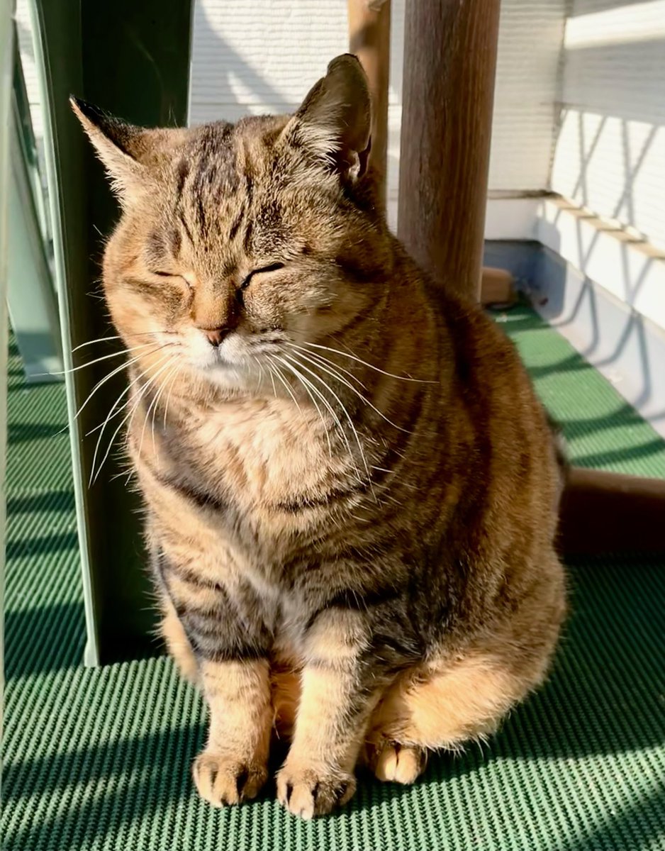 山口 一郎 tweet media