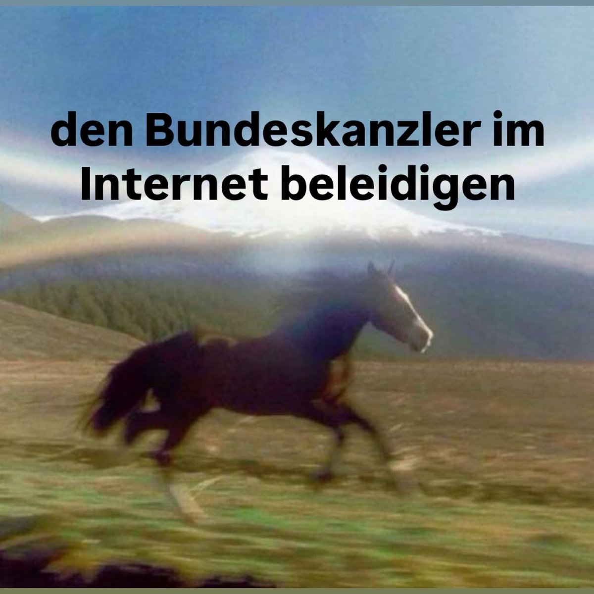 E L   H O T Z O tweet media
