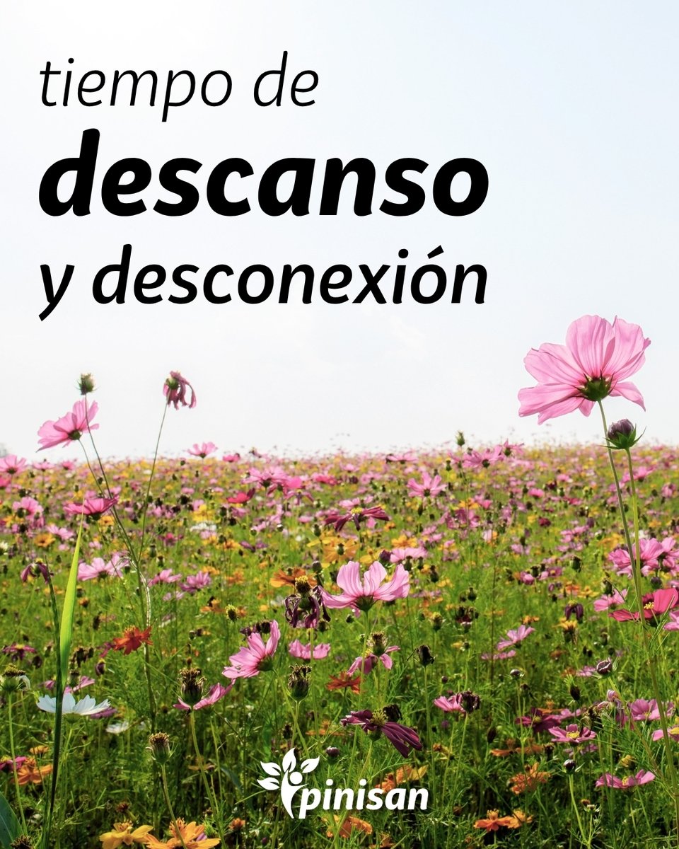 PinisanLabs's tweet photo. Es momento de desconectar, bajar un poco el ritmo y descansar 🌿 El cuerpo lo pide y la mente lo agradece. Pausa necesaria para volver con más energía ✨

Buen puente y mejor descanso. 💚

.
.
.

🌿 #Desconexión #Descanso #TiempoParaTi #Relax https://t.co/5bN29z07wO