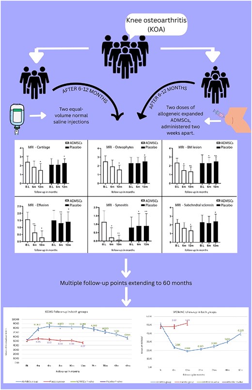 STEM CELLS Translational Medicine tweet media