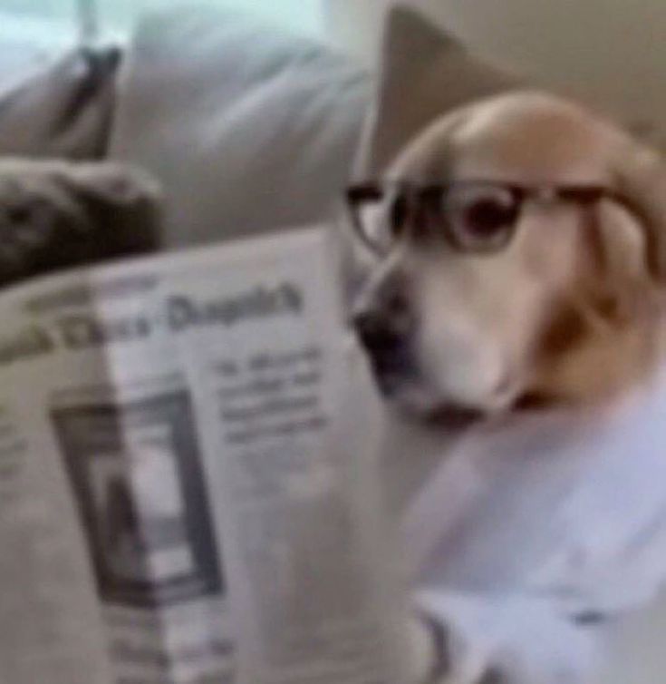 Eu no Twitter todos os dias antes de trabalhar
