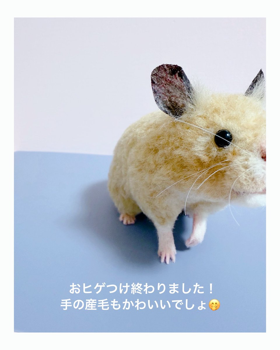 みここꪔ̤̫ ⸝⋆羊毛フェルト作家 (@micoco_ham) / Posts / X