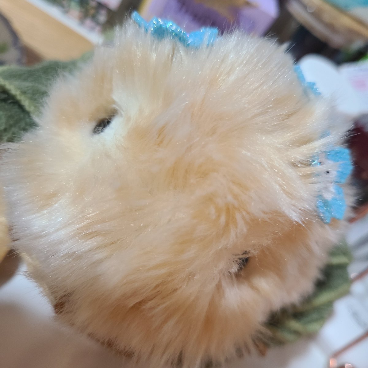 今日もうららがかわいい tweet media