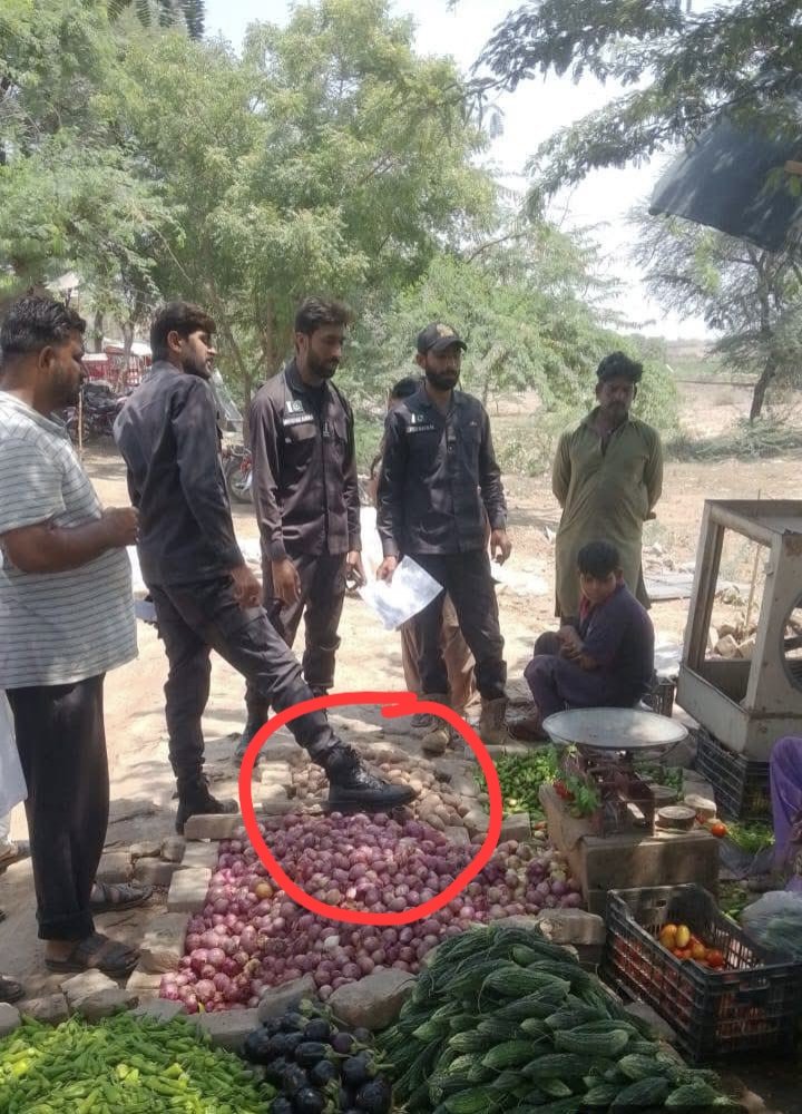 یہاں ہر کوئی فرعون بنا ہوا ۔۔۔۔