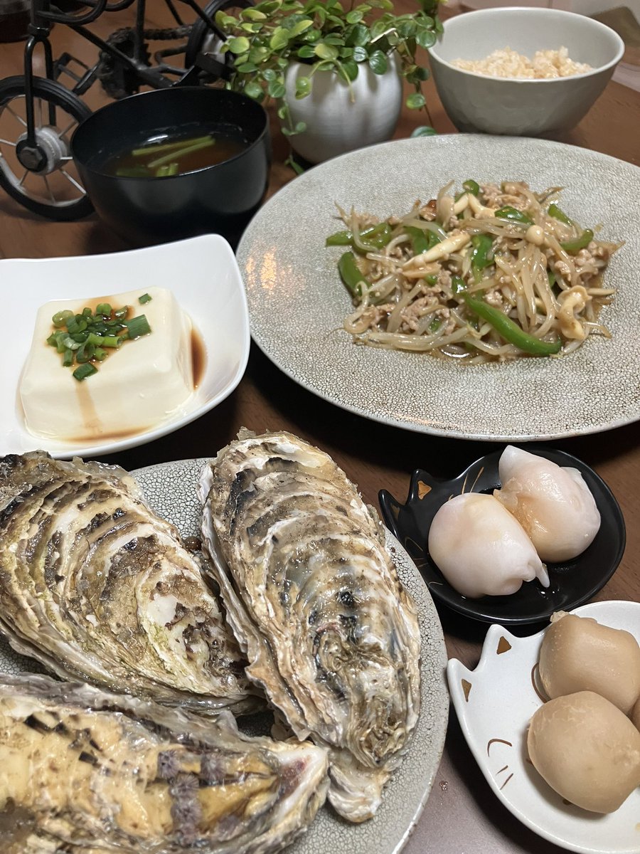 糖尿病日記〜いいことばかりだった！〜 tweet media