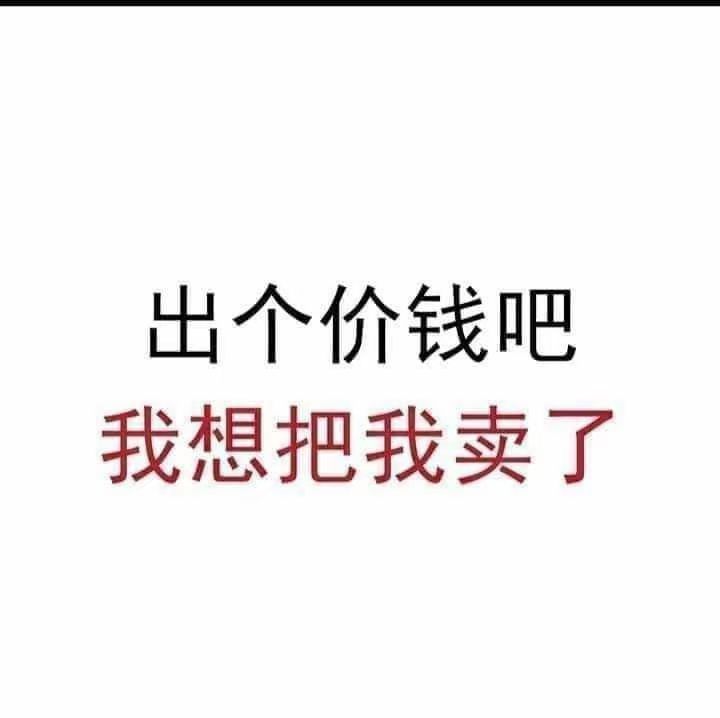不骚 tweet media
