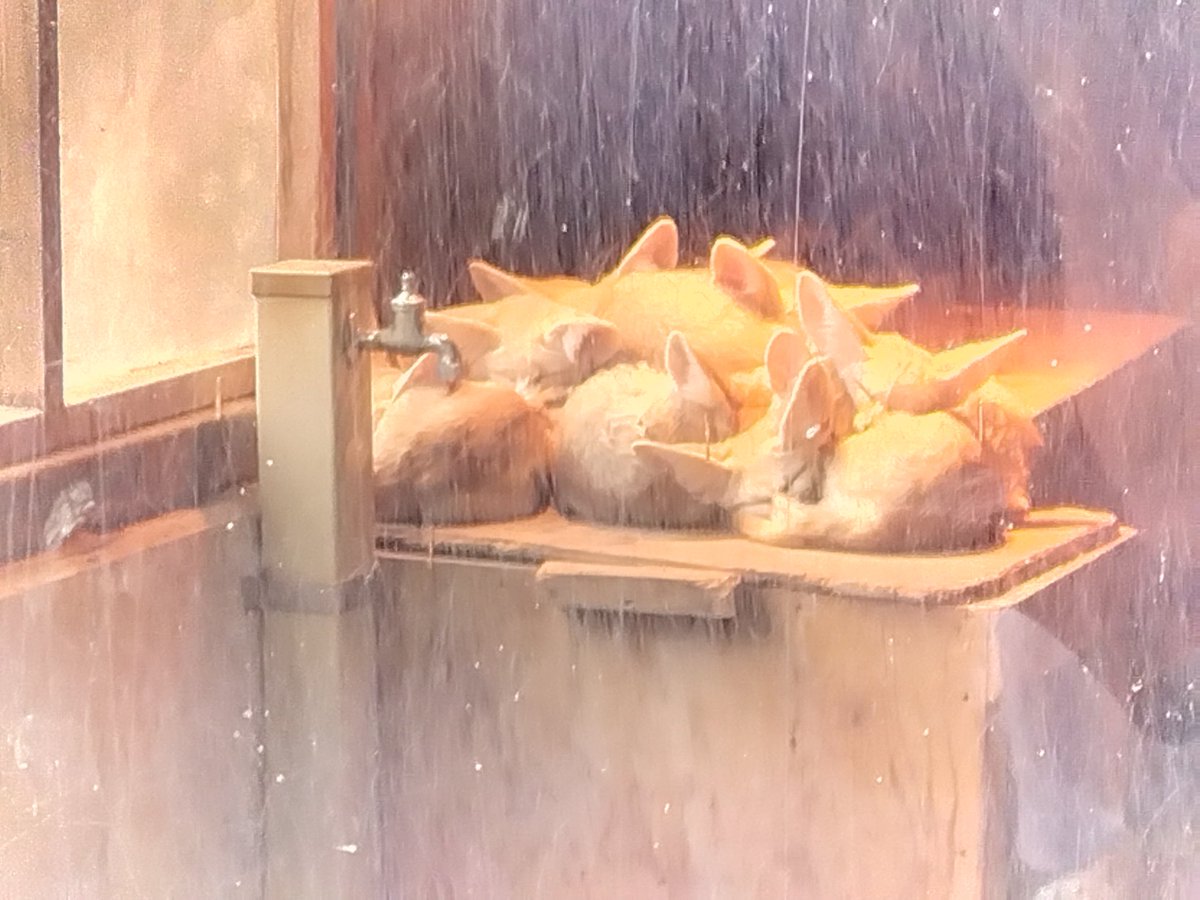 talesdim's tweet photo. https://t.co/JkUU2Uf9sM