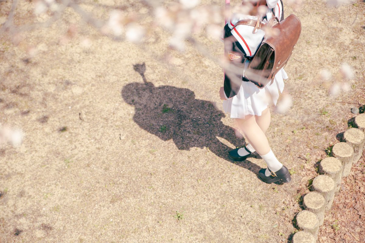 ｾﾒﾝﾄ・くらげ📷/ストフェス/8月𝗣𝗰𝗣𝗤(ﾋﾟｯｸ)📣 tweet media