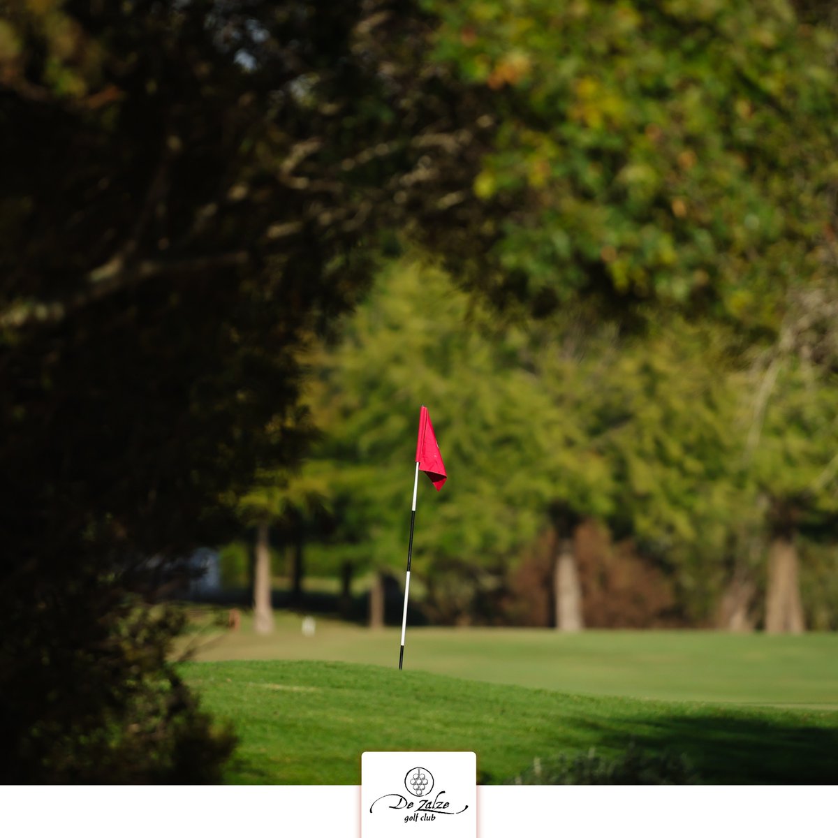 DeZalzeGolfClub tweet media