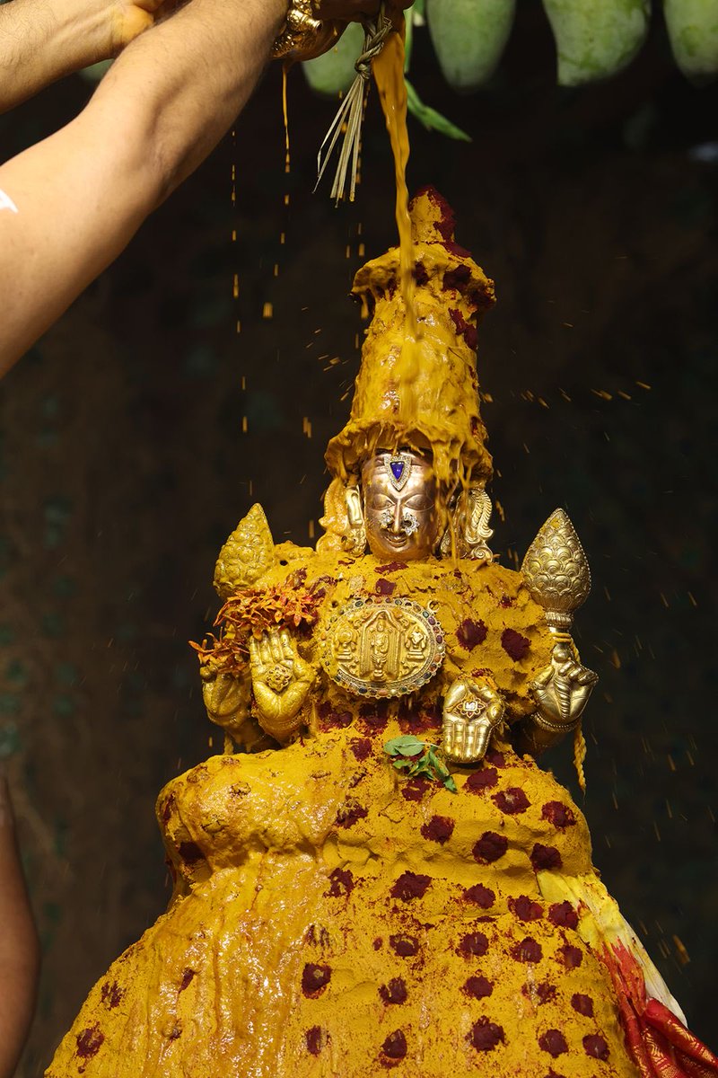 TTDevasthanams's tweet photo. Sri Padmavathi Ammavari Vasanthotsavams commence grandly at Tiruchanur Sri Padmavathi Ammavari Temple. Special rituals, floral décor and cultural programs marked the occasion. Swarna Rathotsavam on May 1 at 9.30 AM.

#ttd #tiruchanur https://t.co/9JBvSuRPPK