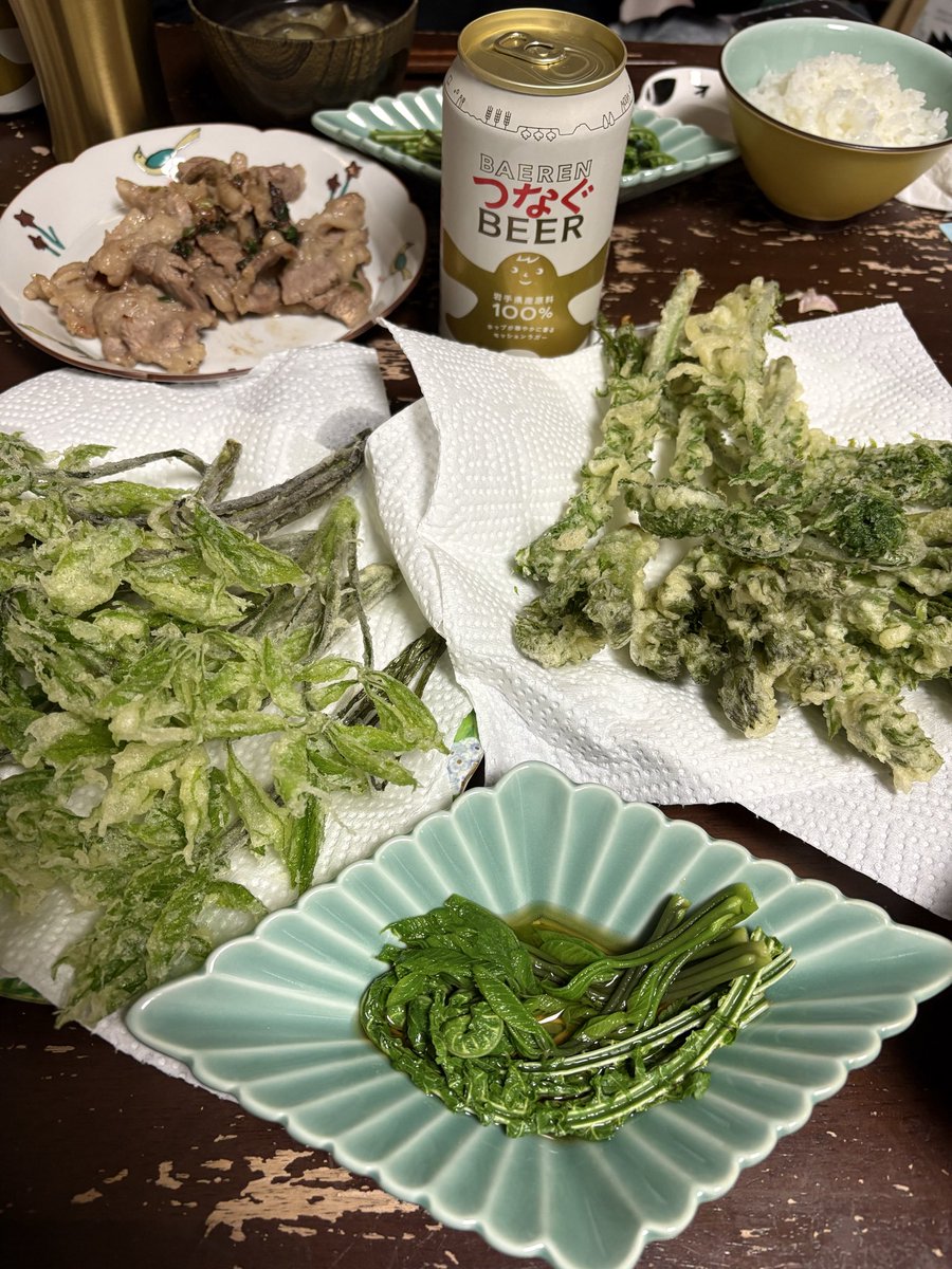 🌿山菜祭り 開幕🎊