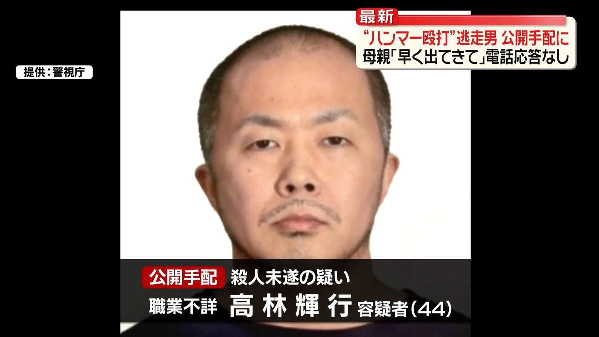 光源氏🇯🇵 tweet media
