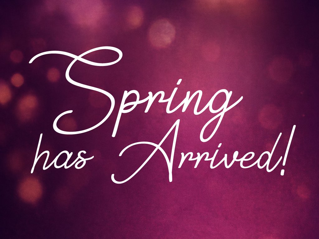 LAPartyDesigns's tweet photo. Spring has Arrived! 🌸

Spring has arrived in California, bringing beautiful weather and the perfect backdrop for outdoor gatherings. 

Continue Reading:
https://t.co/pSjJ6J1ZQK https://t.co/gJqT3VI0Gl