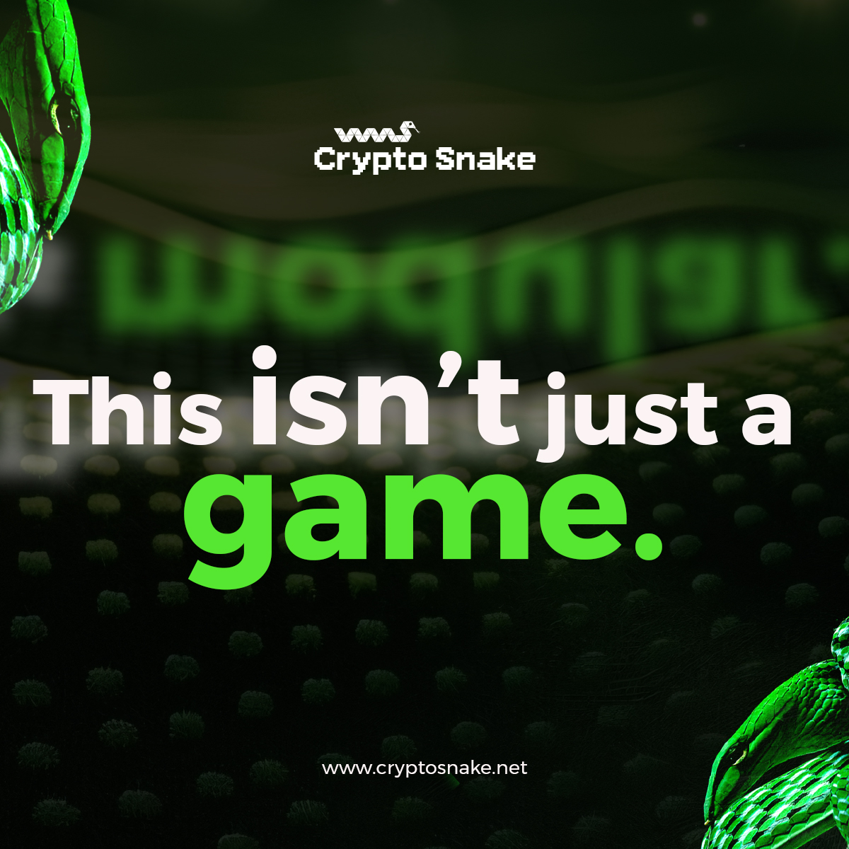 Crypto Snake tweet media