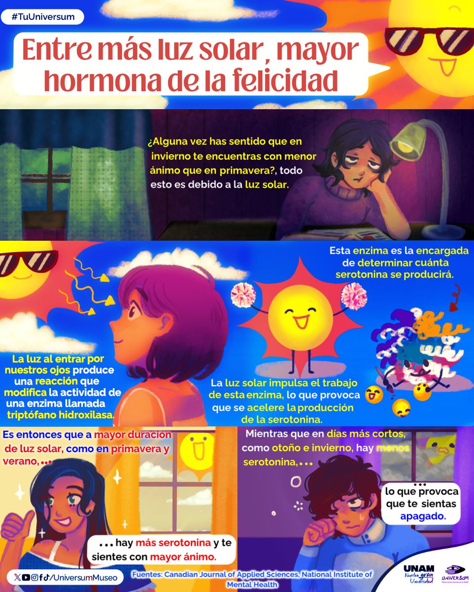 Entre más luz solar 🌞 ¡Mayor hormona de la felicidad! 😁💛✨

#TuUniversum