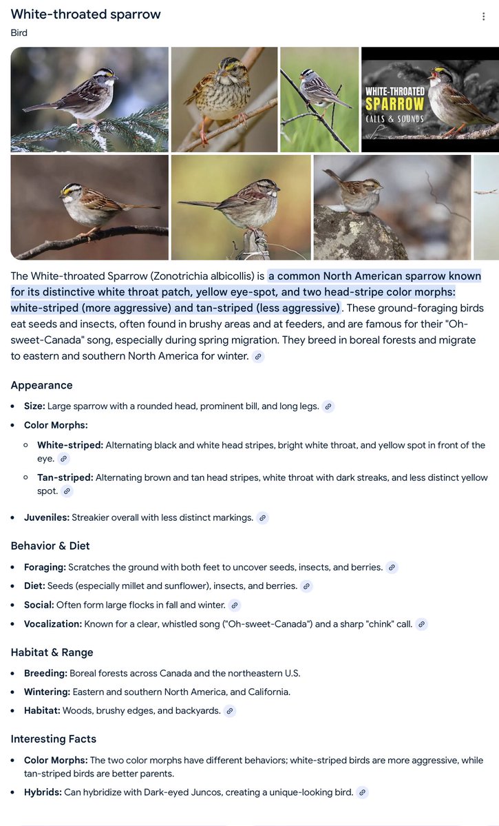 Movie Junkie Fan Account (Might delete Tweets) tweet media