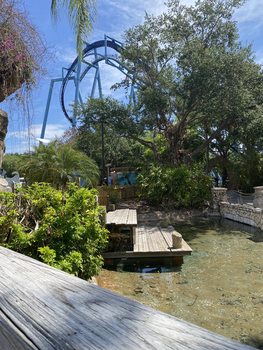 Almost one year since i’ve ridden this exact coaster in another country ...