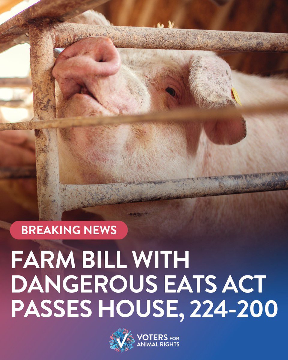 Voters For Animal Rights tweet media