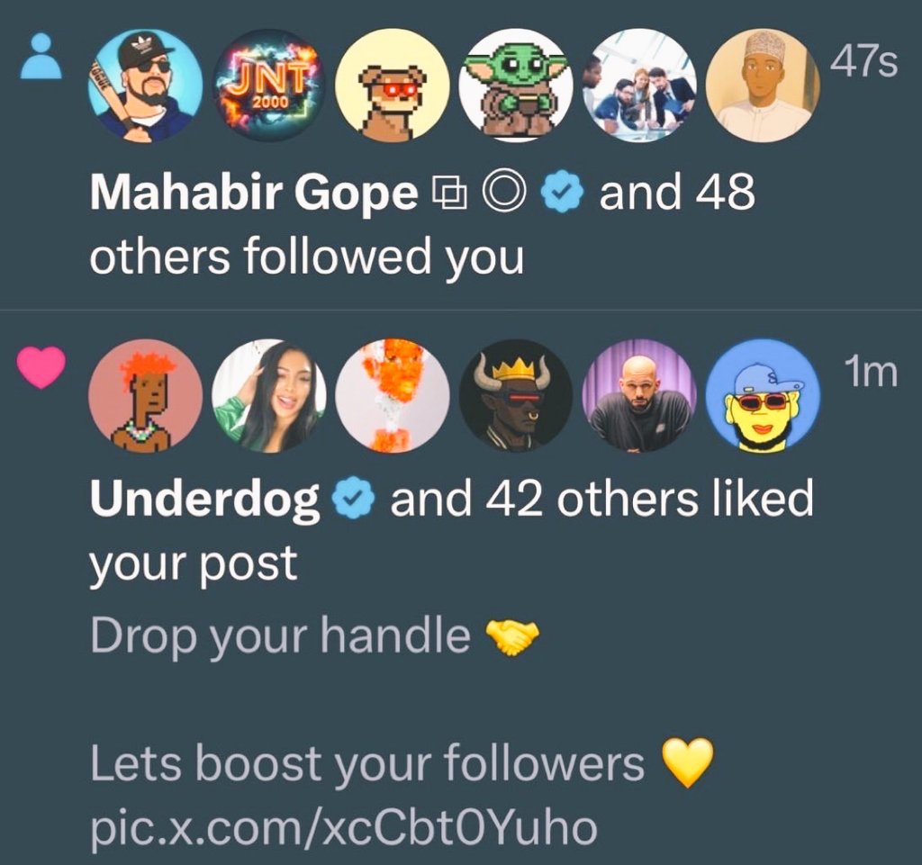 Maxi 🕊️ tweet media