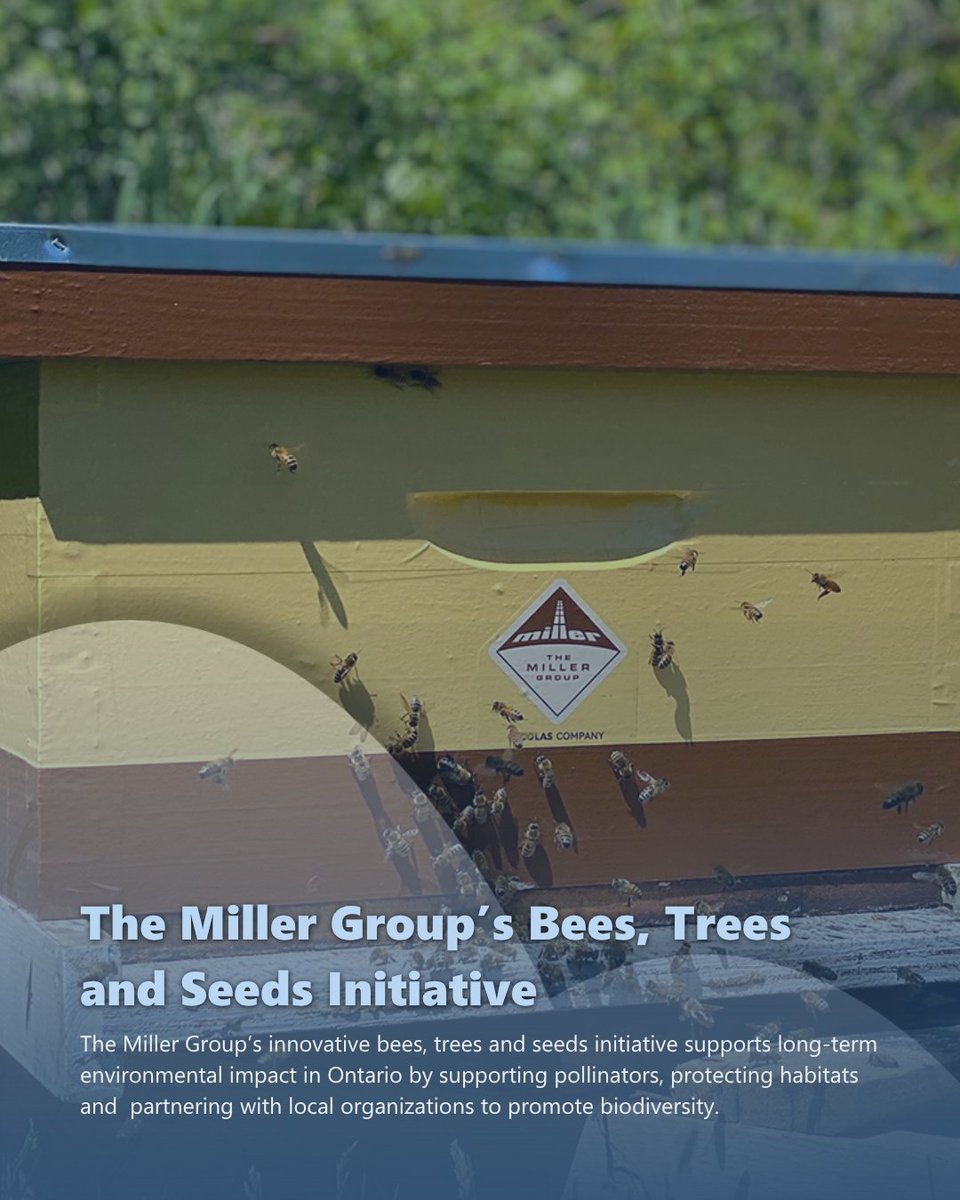 _OSSGA's tweet photo. ♻️ Small actions with lasting environmental impact!

From planting native species to creating spaces where ecosystems can thrive, the Miller Group is taking action to support pollinators, restore habitats and enhance biodiversity across the communities they operate in through their Bees, Trees & Seeds initiative.

🔗 Learn more about environmental stewardship in the aggregate industry: https://t.co/z3VX89XrVg