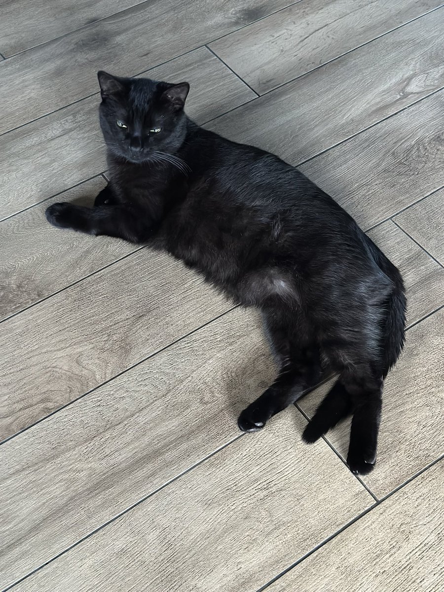 ФОП Alexis Polux tweet media