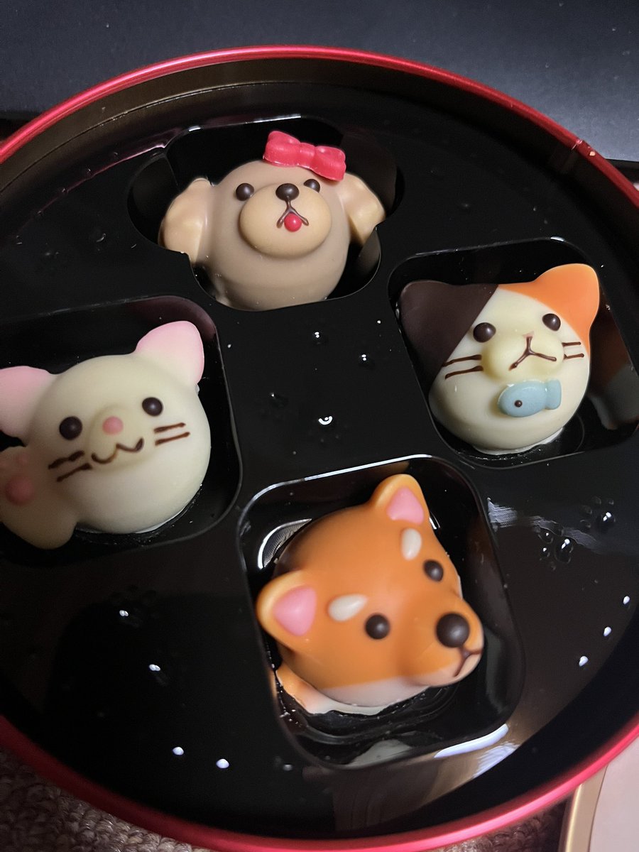 所場 tweet media