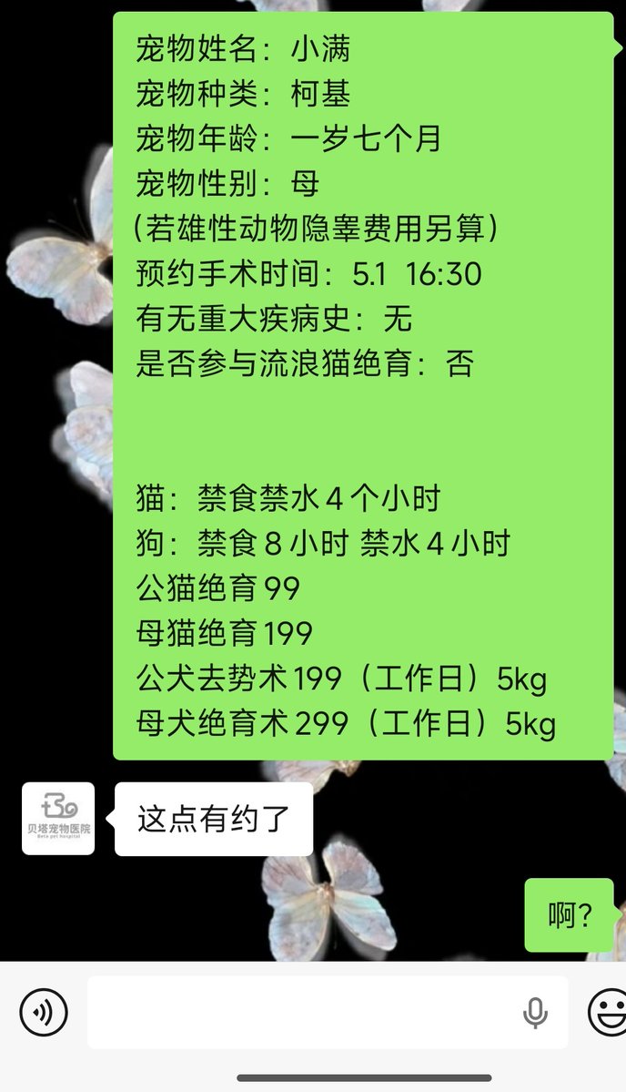 小土豆🥔 tweet media