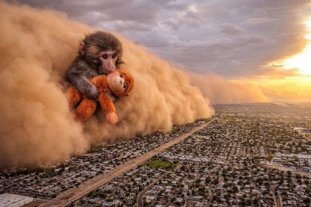 Launch pad War’s 
 <a href="/BagsApp/">BAGS</a> golden period coming up. 

Pump.fun recent burn of  $PUMP supply ($370M) instead of airdropping the community that help built its success for me personally was the final statement and proof PumpFun &amp; Alon don’t give a monkey 🐵

People