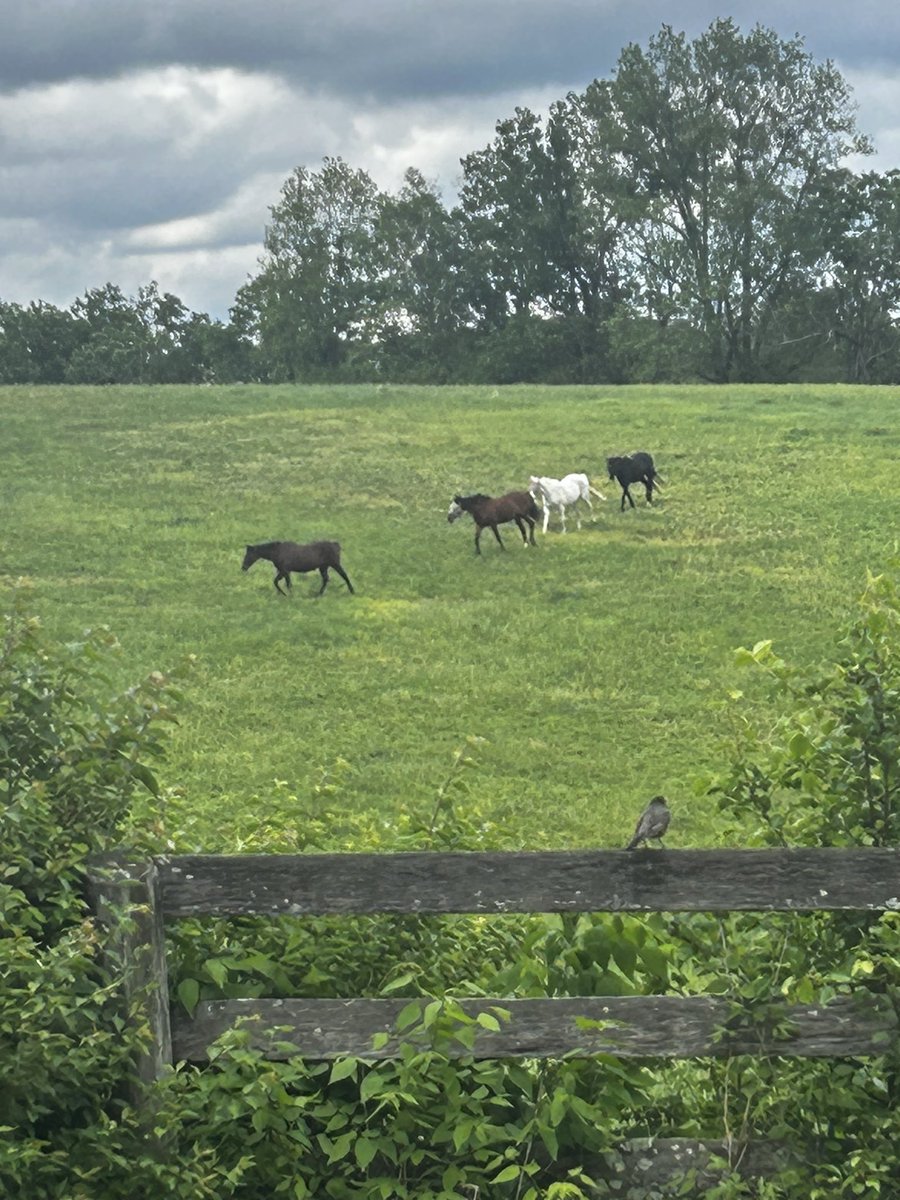 Full Circle Farm tweet media