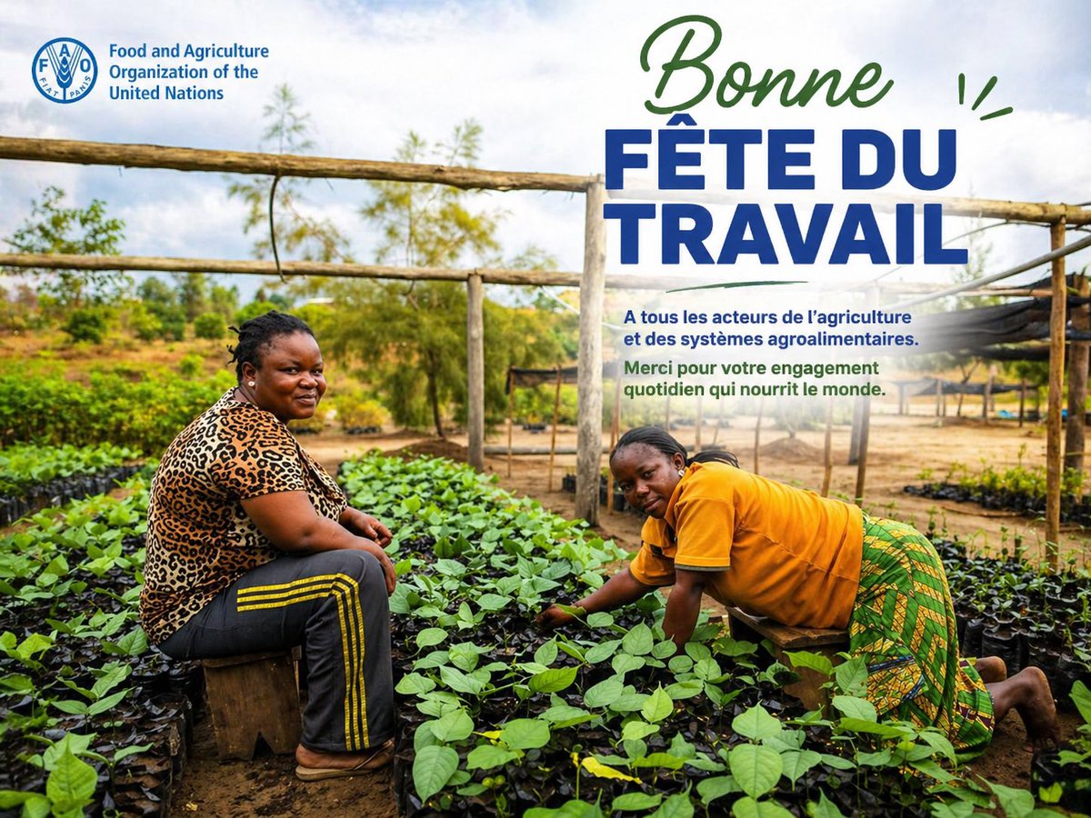 FAO en République du Congo tweet media