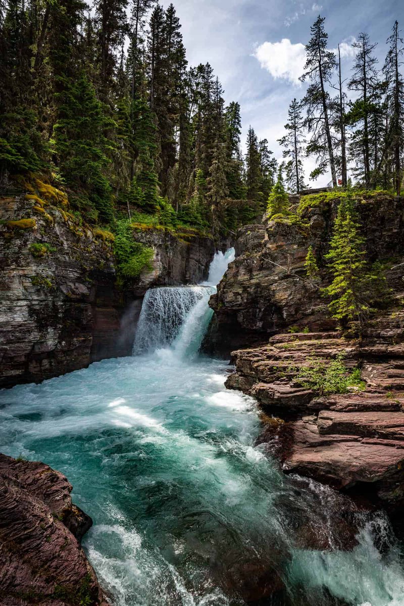 American Conservation Coalition tweet media