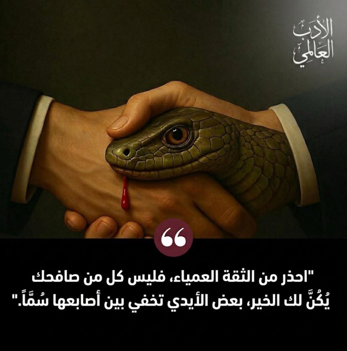 MajdEldin Islam tweet media