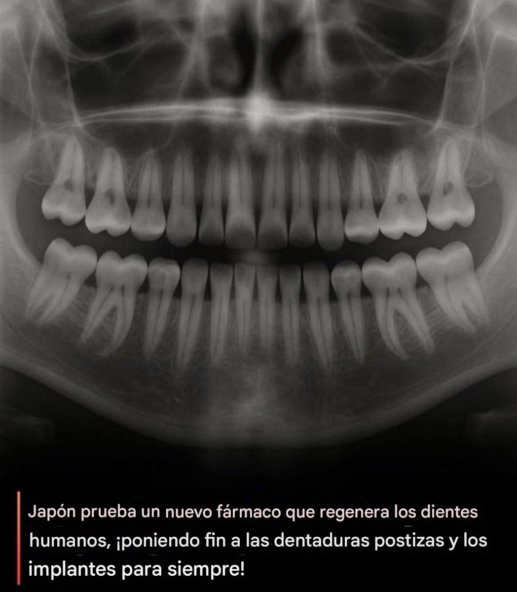Isabel Fernández tweet media
