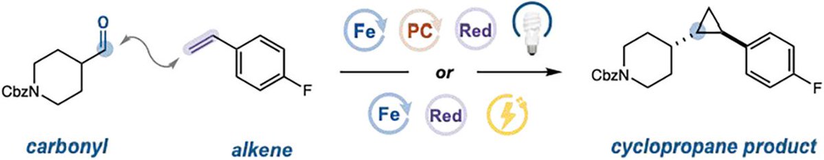 ckellzchem's tweet photo. Super thrilled to see another awesome collaboration with the talented student's of @MacMillan_Lab  out  in the literature. "Team Carbene" was truly an all star team of students and the quality of this work reflects that. This paper greatly expands the Fe/PC carbene platform to make cyclopropanes I would never have dreamed of being able to be synthesized via photocatalysis (especially from aldehydes!). Looking forward to the next chapters of collaborations between @JNJNews  and Dave's at  @PrincetonChem