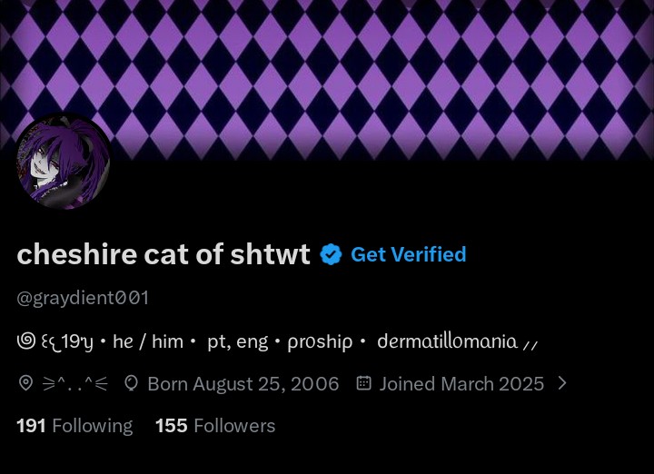 cheshire cat of shtwt tweet media