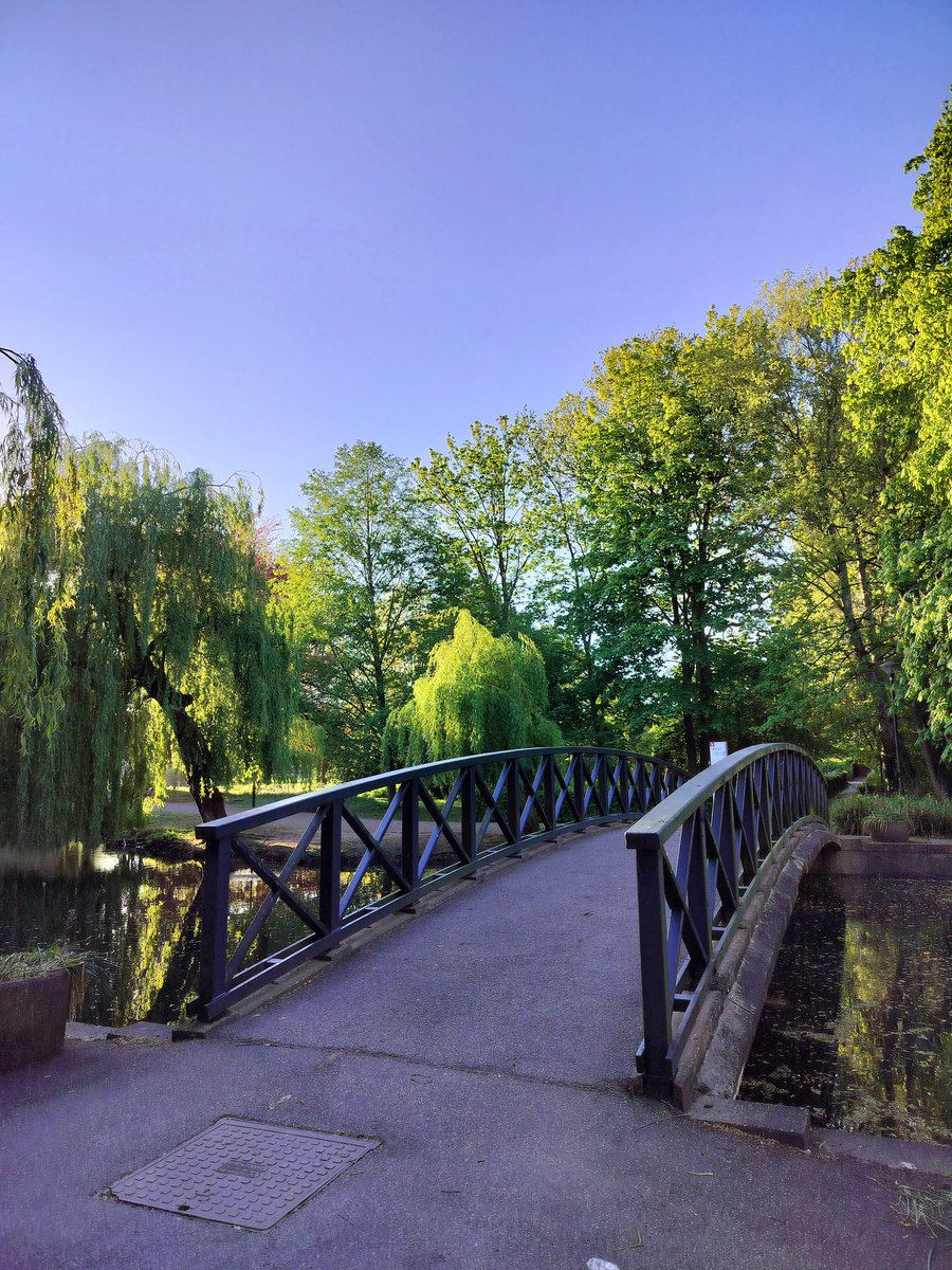 MillingtonSally's tweet image. Morning 5km run 
Loving the sunshine and blue skies. That felt really good on a loop around the uni. 
Happy Thursday 😀🏃‍♀️
#York #Running