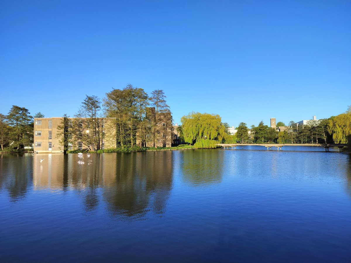 MillingtonSally's tweet image. Morning 5km run 
Loving the sunshine and blue skies. That felt really good on a loop around the uni. 
Happy Thursday 😀🏃‍♀️
#York #Running