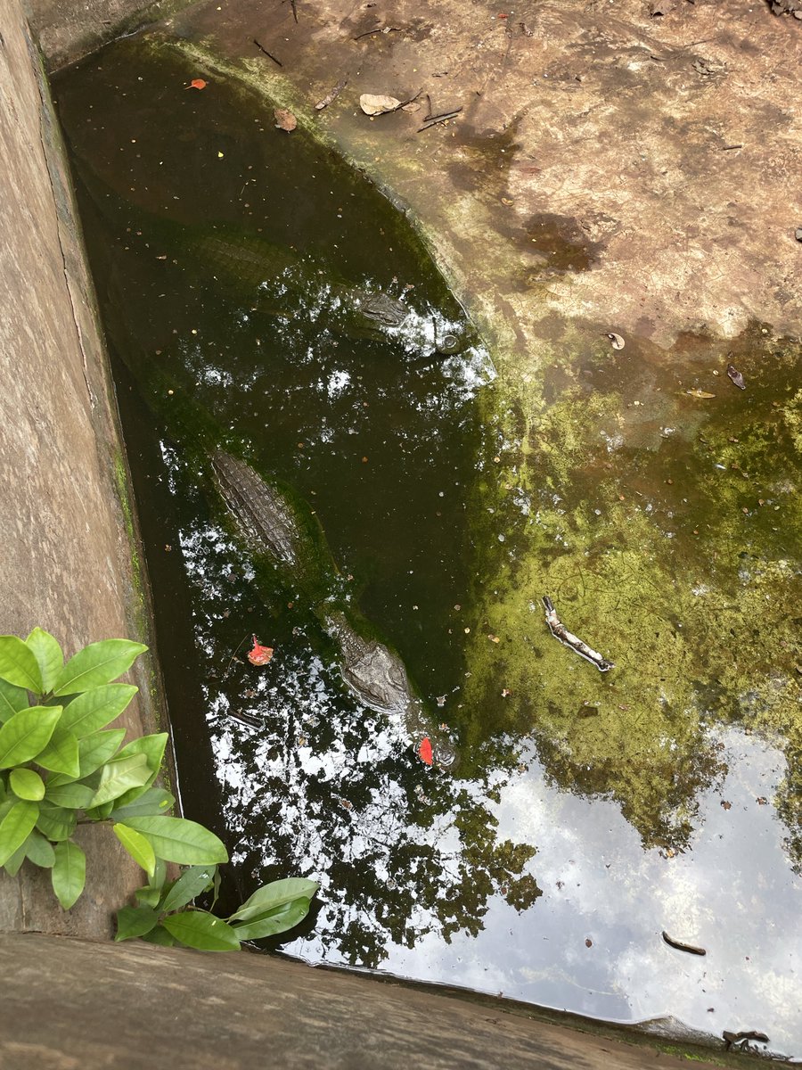 IFEANYICHUKWU tweet media