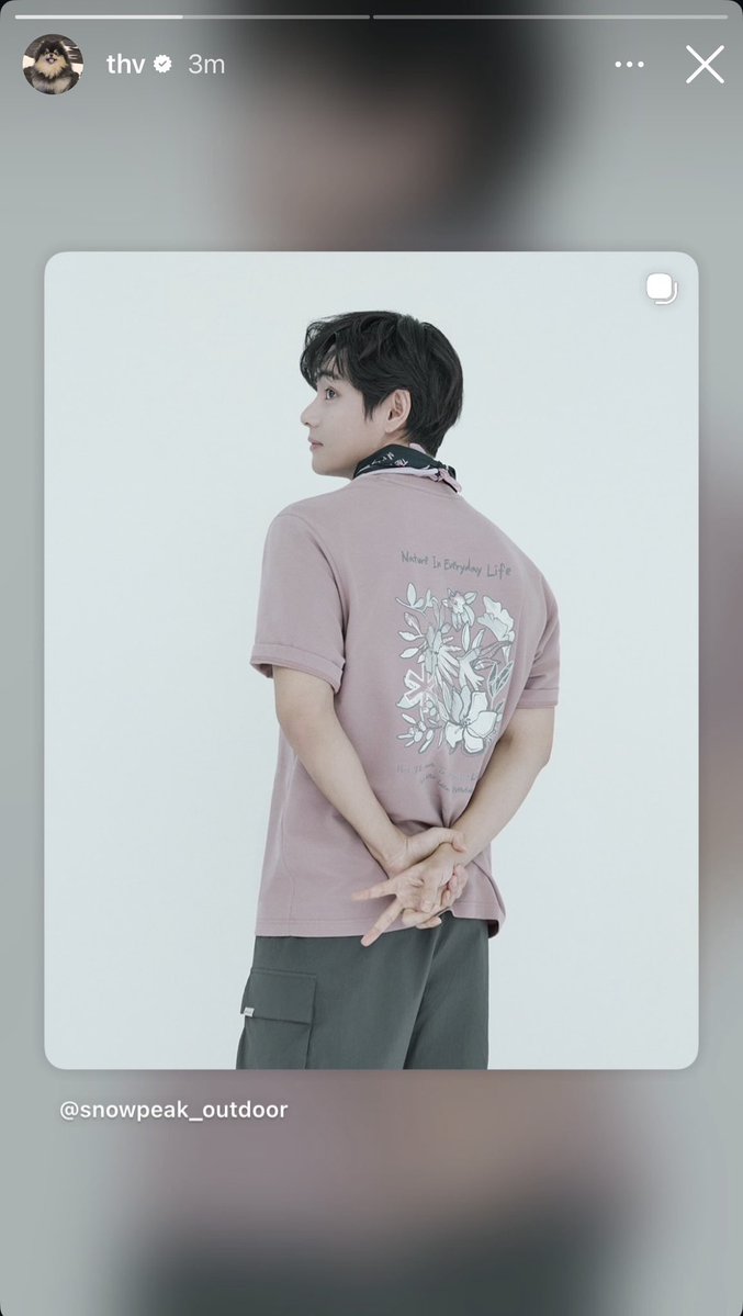 BTS V THAILAND tweet media