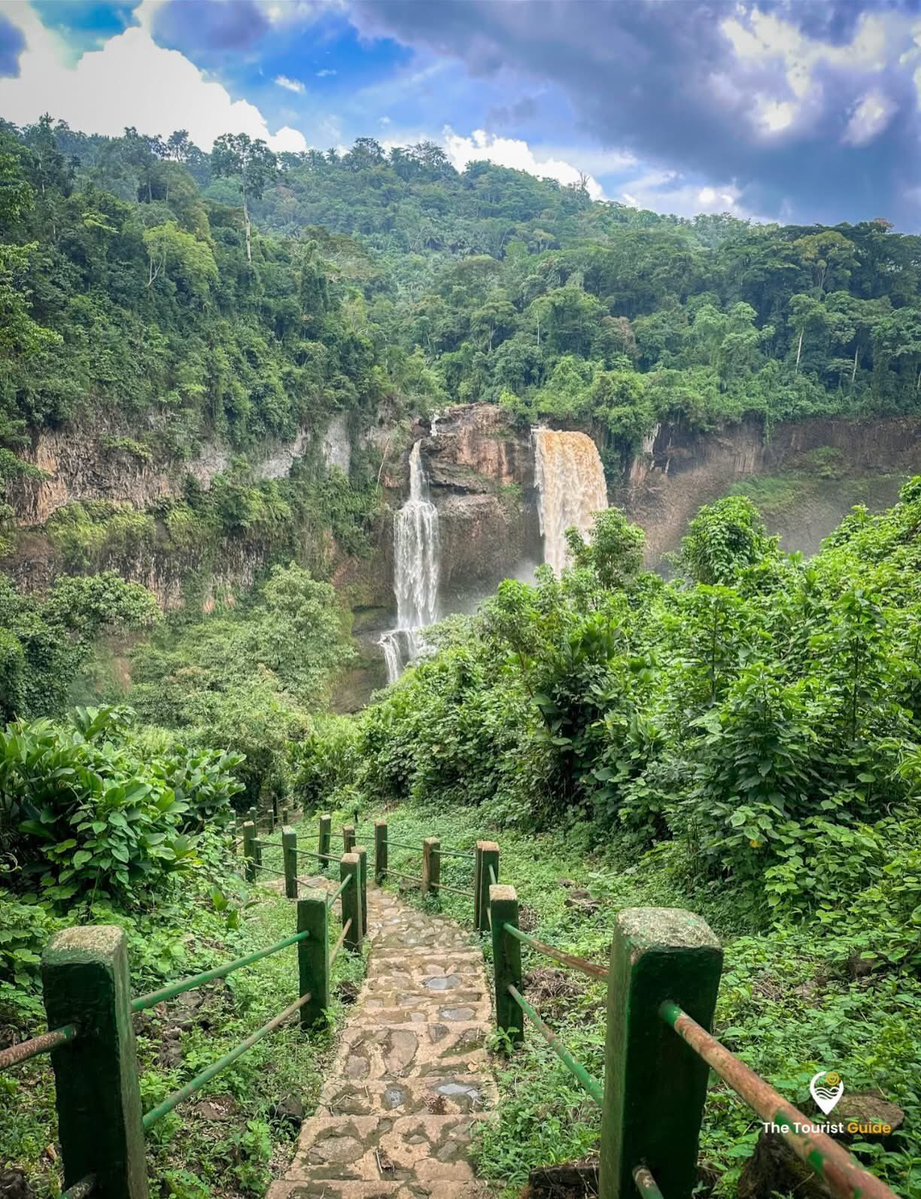 The Tourist Guide 🇨🇲 tweet media