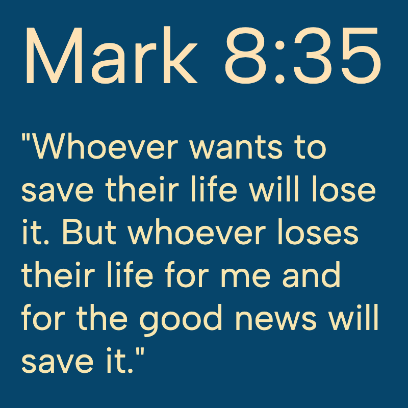 Daily Bible tweet media