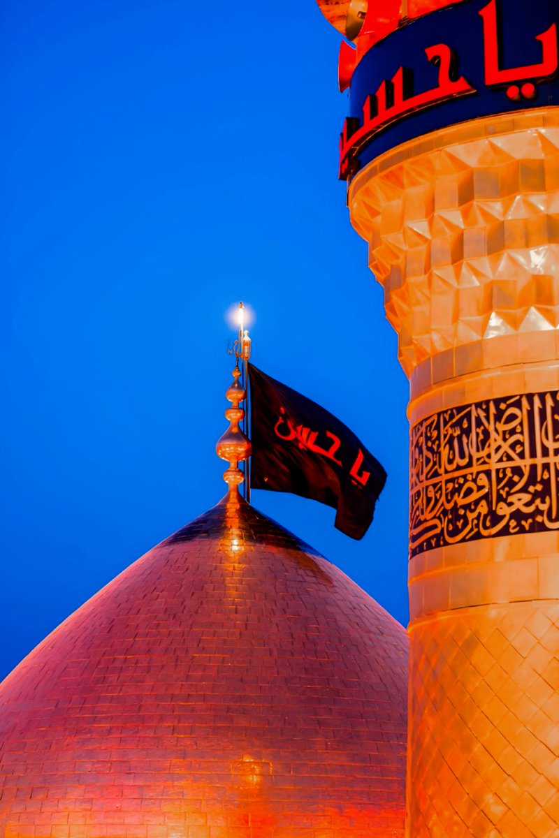 Mehdi_Zamani_مهدی زمانی tweet media