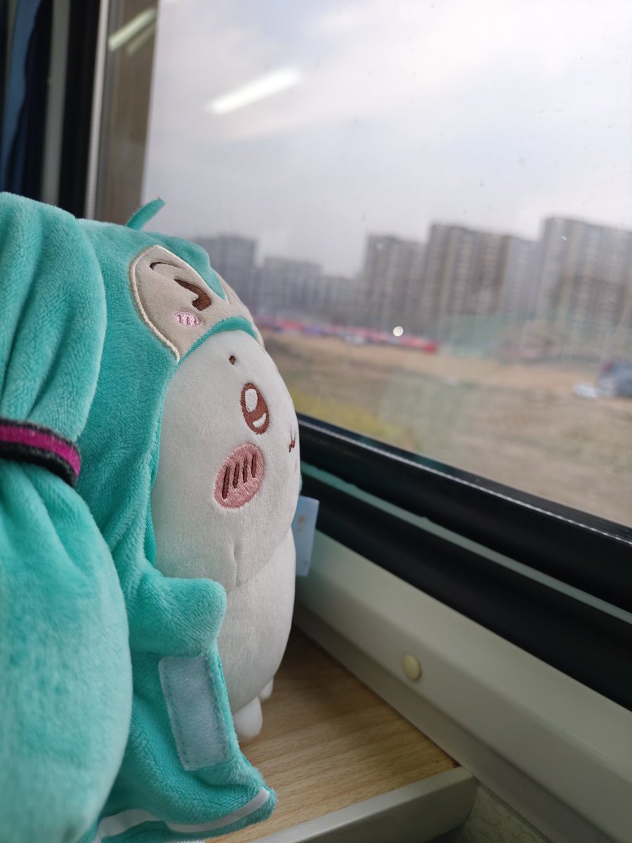 中华浔 tweet media